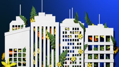 New leadership in an era of thriving organizations