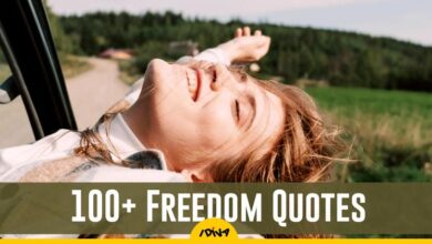 100+ Freedom Quotes to Express Your Independence