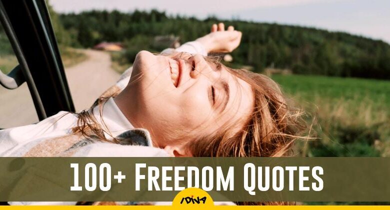 100+ Freedom Quotes to Express Your Independence 100+ Freedom Quotes to Express Your Independence
