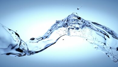 The five trademarks of agile organizations